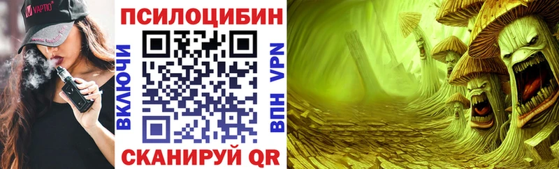 Псилоцибиновые грибы Magic Shrooms  закладки  дарк нет клад  Заречный  МЕГА ССЫЛКА 