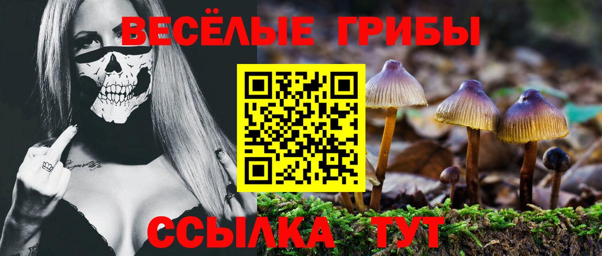 Псилоцибиновые грибы GOLDEN TEACHER  Псилоцибиновые грибы MAGIC MUSHROOMS  Вход с VPN  Заречный 