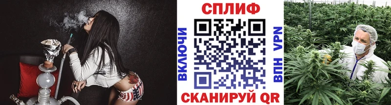 блэк спрут онион  Заречный  Шишки марихуана White Widow 